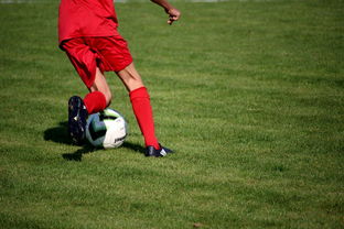 开云kaiyun-NBA球队青训体系建设与人才储备，nba青年队