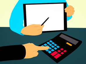 开云官网在线-体教融合视角下的校内竞赛体系构建方案，学校体教融合经验交流材料